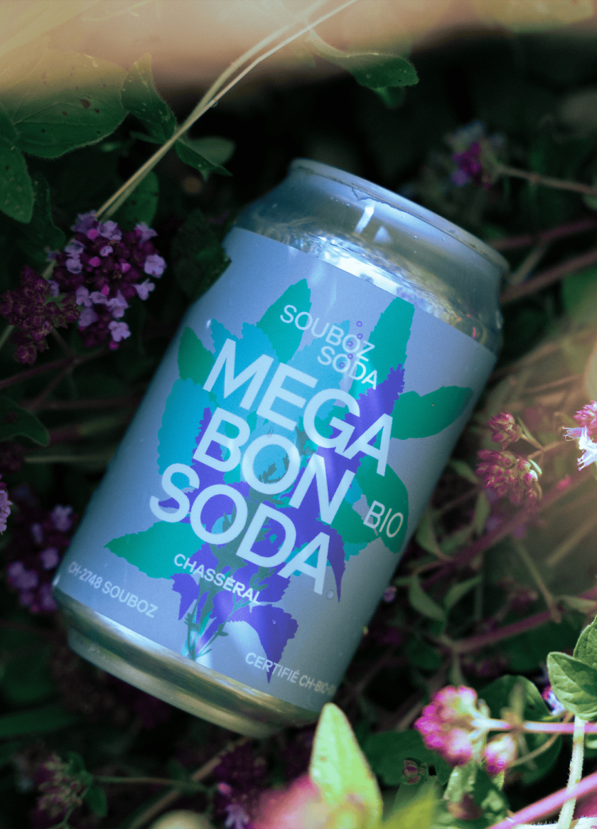 thé froid bio souboz drinks