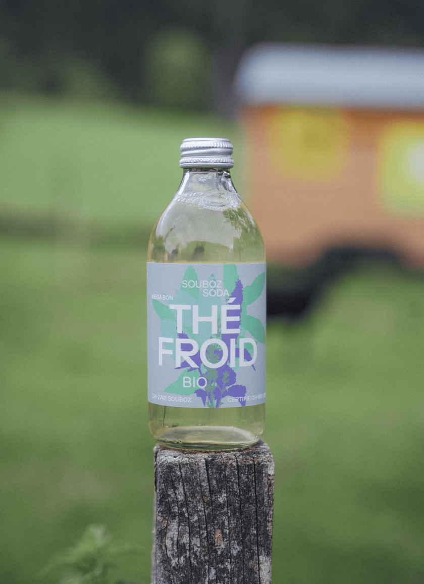 thé froid bio souboz drinks