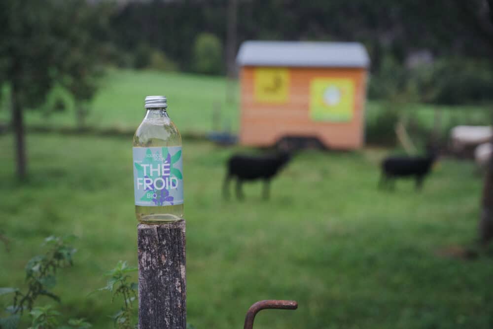 thé froid bio souboz drinks