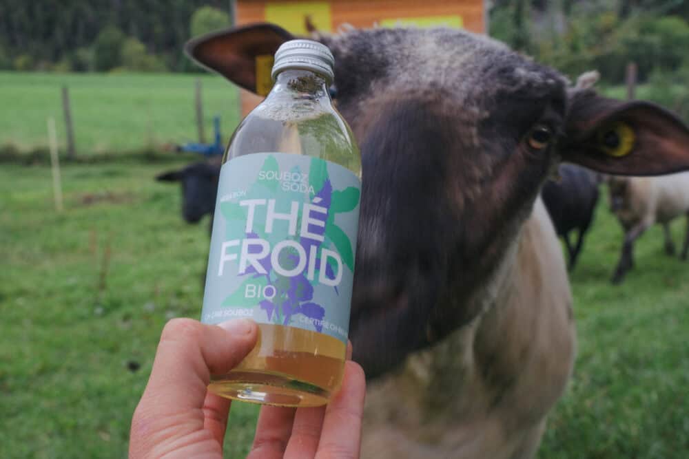 thé froid suisse bio